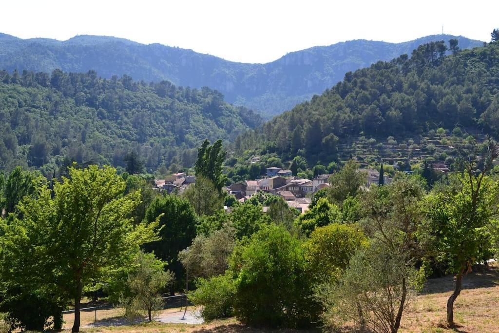 Cosy Provencal Daire Belgentier Dış mekan fotoğraf
