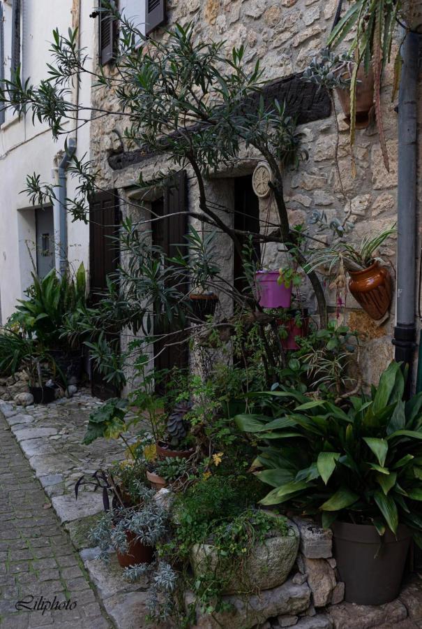 Cosy Provencal Daire Belgentier Dış mekan fotoğraf