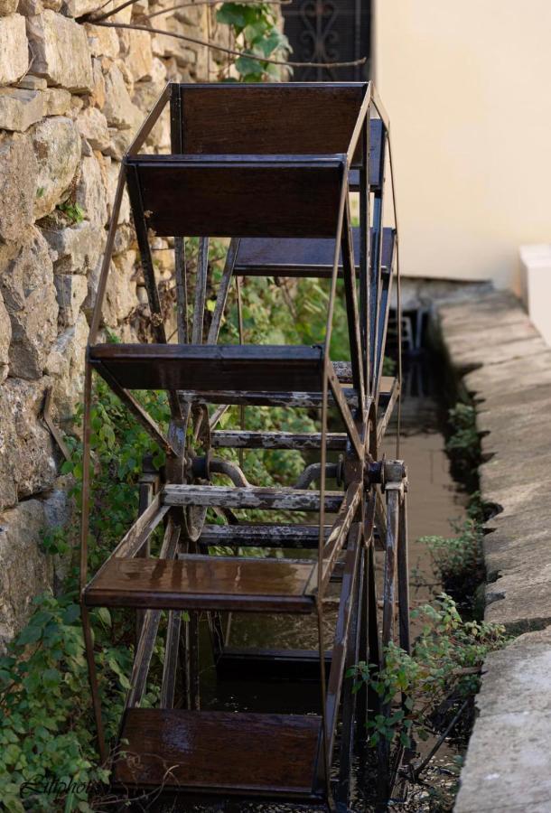 Cosy Provencal Daire Belgentier Dış mekan fotoğraf