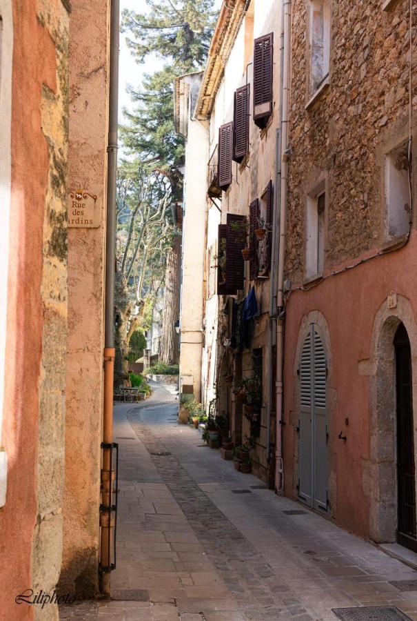 Cosy Provencal Daire Belgentier Dış mekan fotoğraf