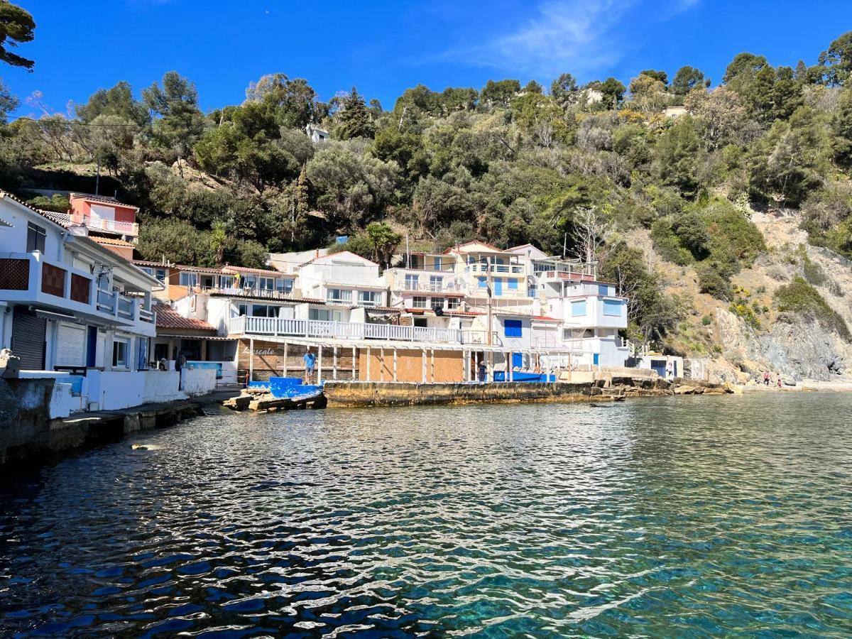 Cosy Provencal Daire Belgentier Dış mekan fotoğraf